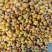 广西桂林市恭城县柿子