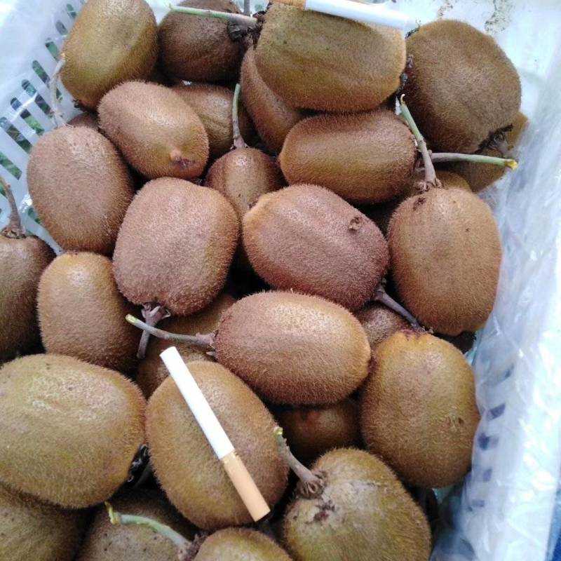 精品徐香弥猴桃