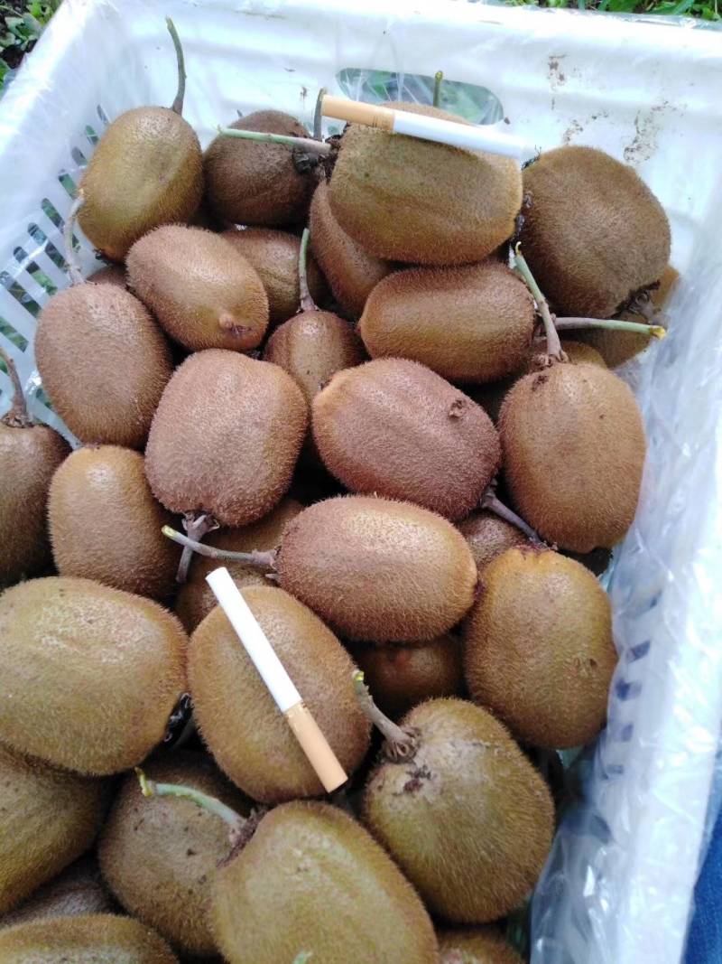 精品徐香弥猴桃
