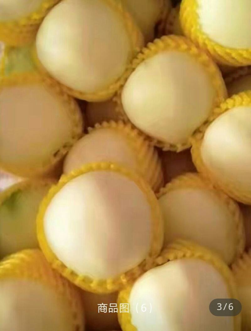 黄金帅