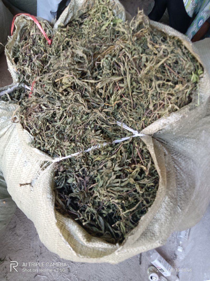 黑旱莲带根扎把青干无杂