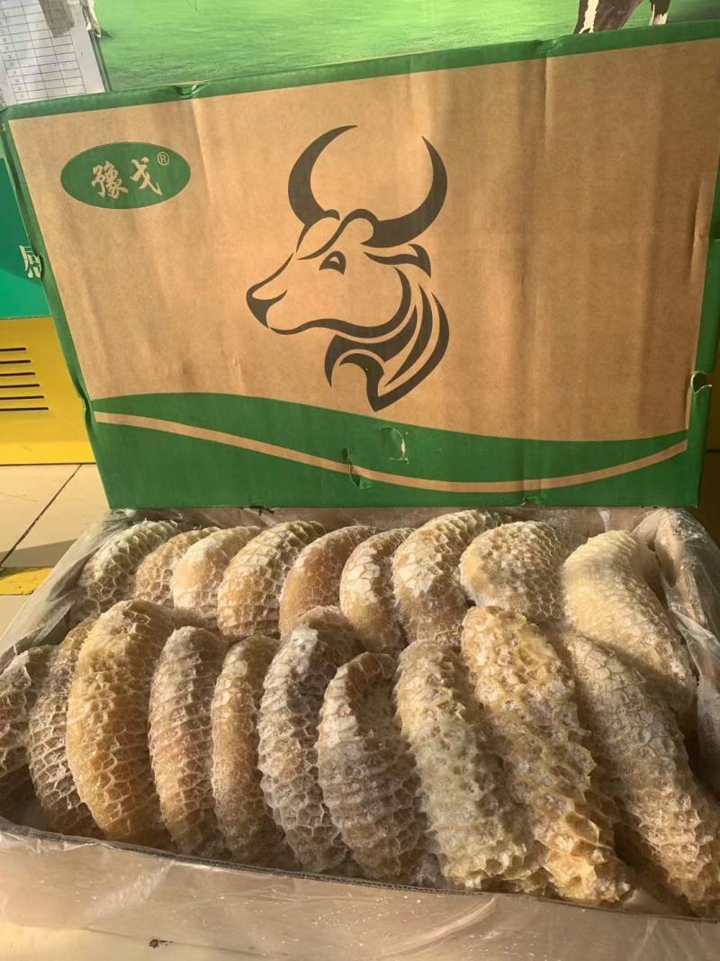 纯干金钱肚，质量保证，厂家发货，按客户要求加工量大从优