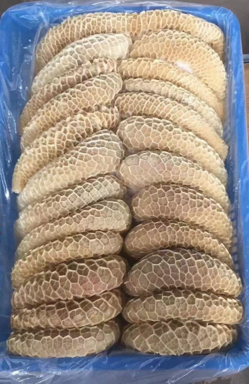 纯干金钱肚，质量保证，厂家发货，按客户要求加工量大从优