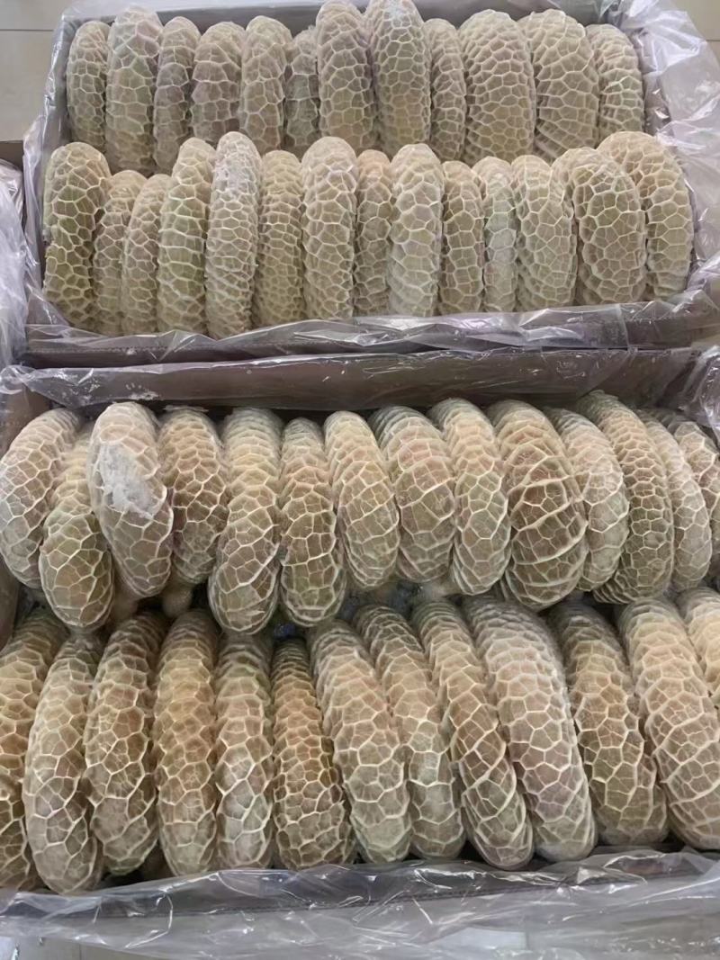 纯干金钱肚，质量保证，厂家发货，按客户要求加工量大从优