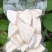 冷冻芋头块。烘焙用芋泥正宗广西荔浦芋头
