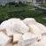 冷冻芋头块。烘焙用芋泥正宗广西荔浦芋头