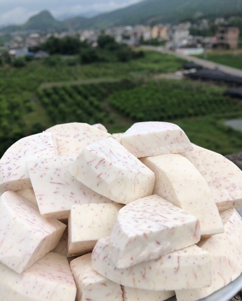 冷冻芋头块。烘焙用芋泥正宗广西荔浦芋头