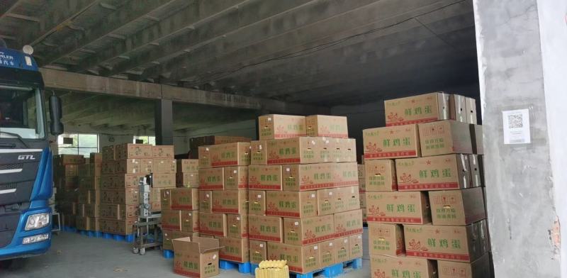 湖北红壳鸡蛋批发，基地供应，质量保证，可视频看货