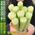 东北甜杆甜高粱甜芦粟大量批发对接平台一件代发