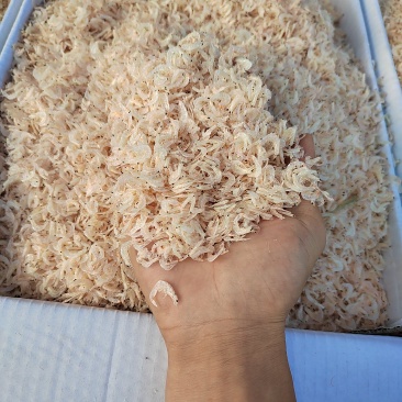 电商专用虾皮6元一斤