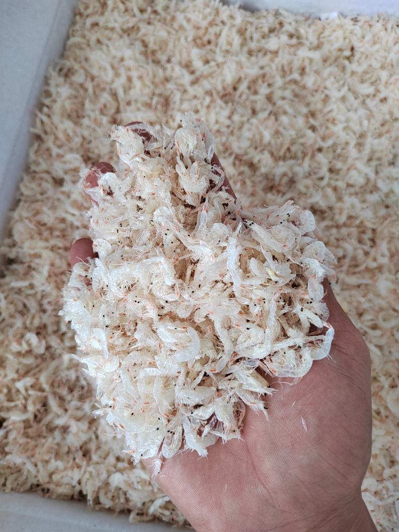 电商专用虾皮6元一斤
