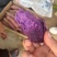 湖北紫罗兰紫薯大量供应保质保量欢迎咨询