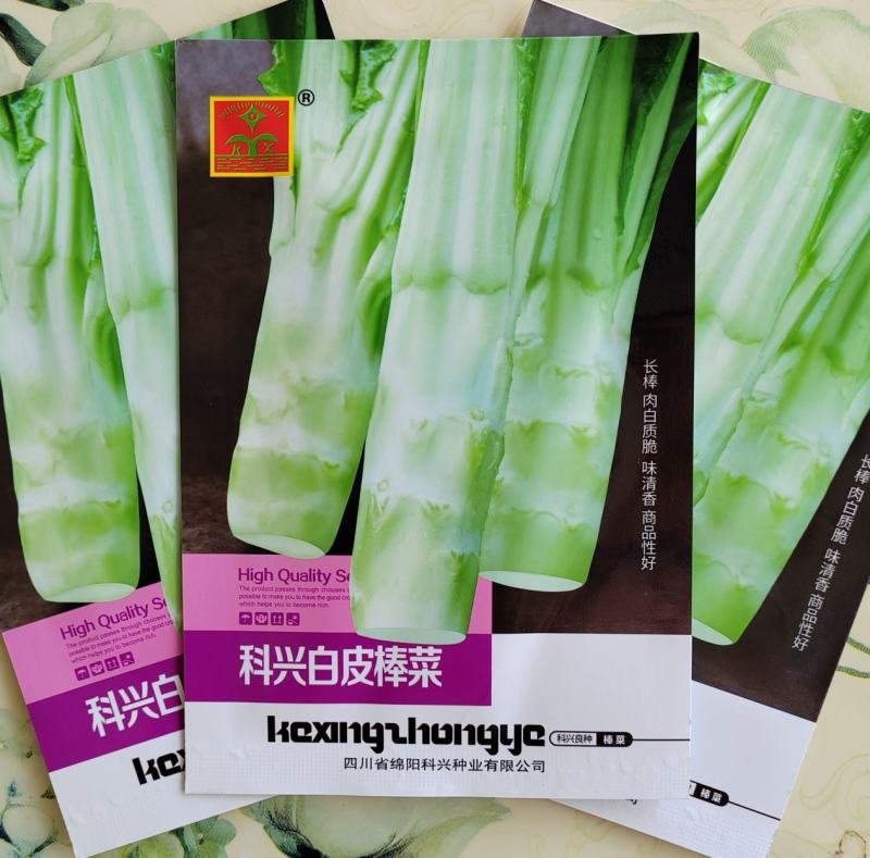 【精品】花叶青皮薄皮棒菜种子白皮圆叶棒菜种子厂家直销