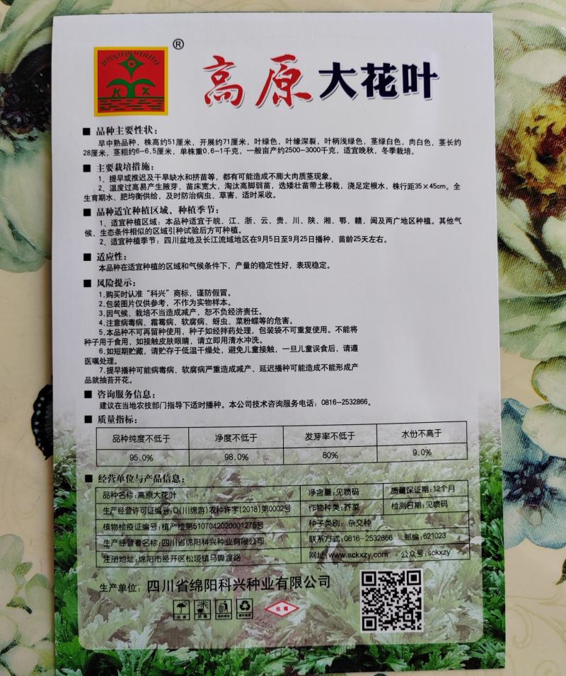 【精品】花叶青皮薄皮棒菜种子白皮圆叶棒菜种子厂家直销