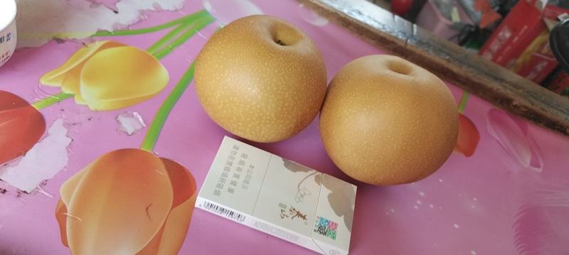 套袋秋月梨大量现货脆甜无渣电商市场货提供包装服务