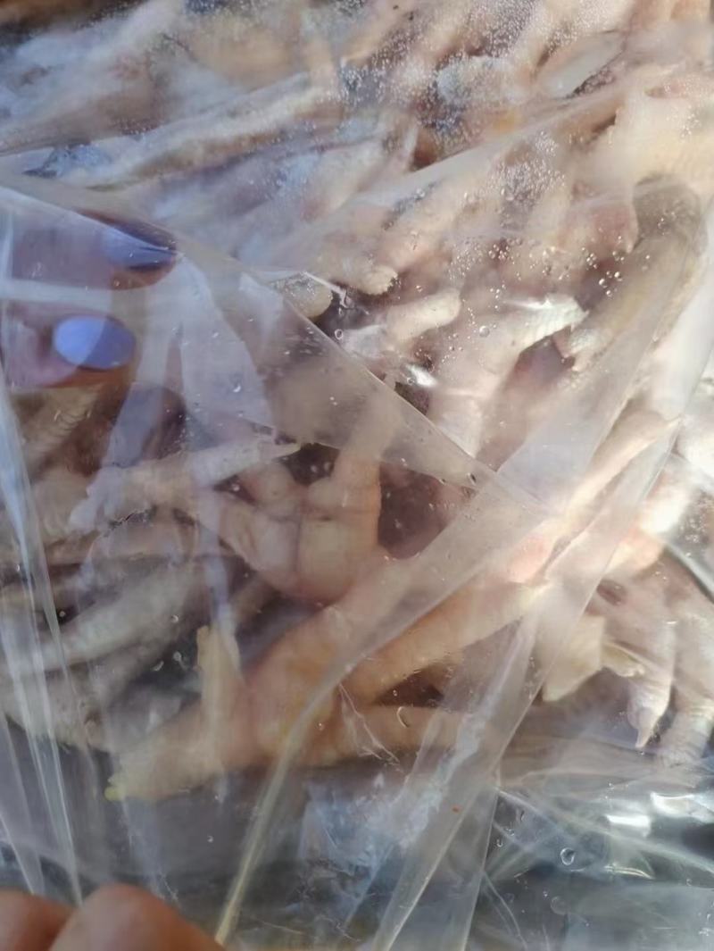 鸡爪大号。大小均匀一手货源。保质保量，一年四季有货，