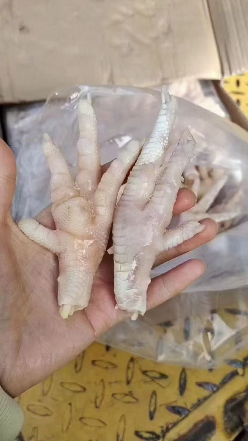 鸡爪大号。大小均匀一手货源。保质保量，一年四季有货，