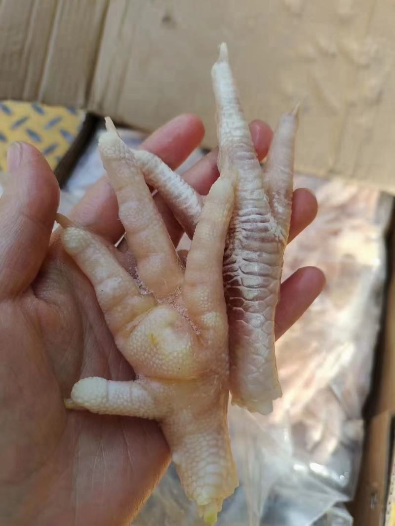 鸡爪大号。大小均匀一手货源。保质保量，一年四季有货，