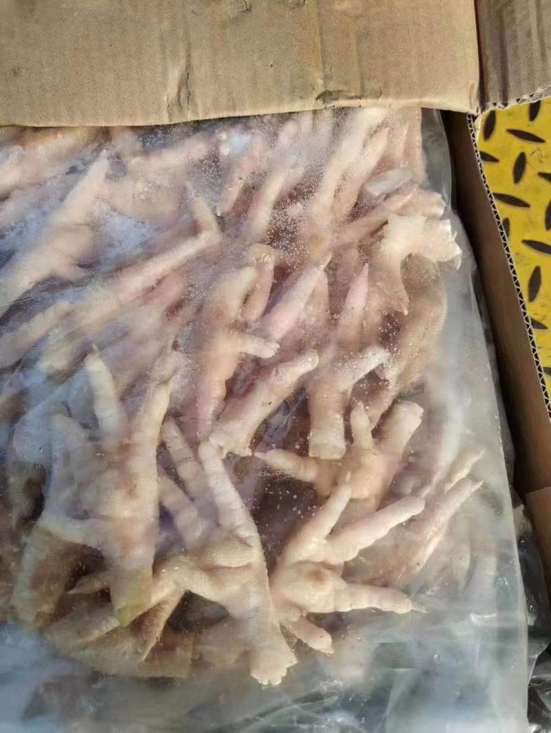 鸡爪大号。大小均匀一手货源。保质保量，一年四季有货，