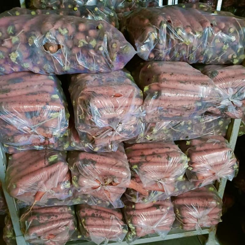 带英带泥精品胡萝卜，越南包，出口，市场标包，专业保质保量