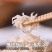 无添加剂的新鲜虾皮原滋原味宝宝辅食淡干不咸营养美味