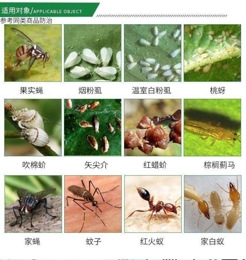5%吡丙醚悬浮剂室外蝇幼虫杀虫剂农药农用杀蝇幼虫