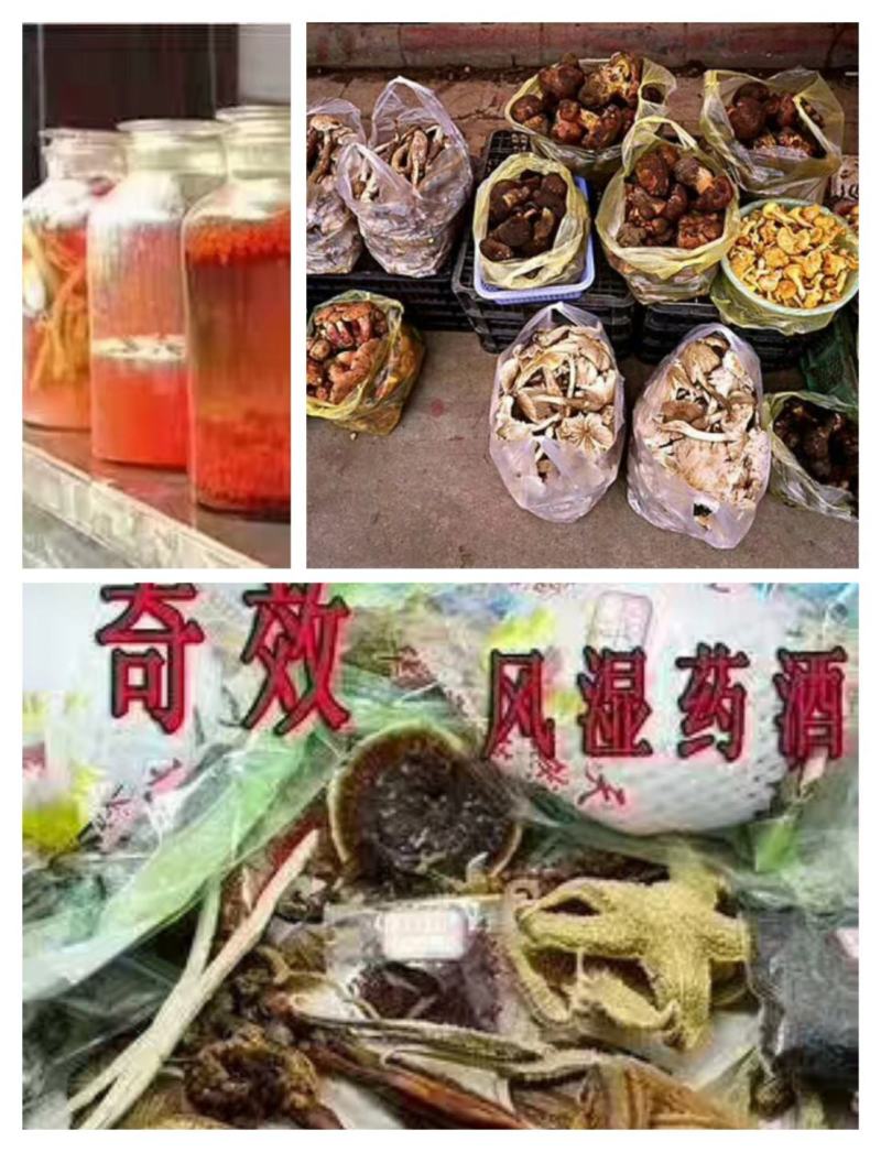 藏红花又称女人花藏红花让您变的越来越年轻漂亮