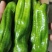 湖北精品芜湖椒，线椒，红线椒。