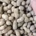 鲜花生鲁花系列/
