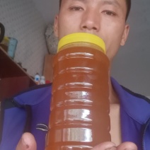 土蜂蜜自己喂养的土蜂蜜需要的老板朋友可以联系我