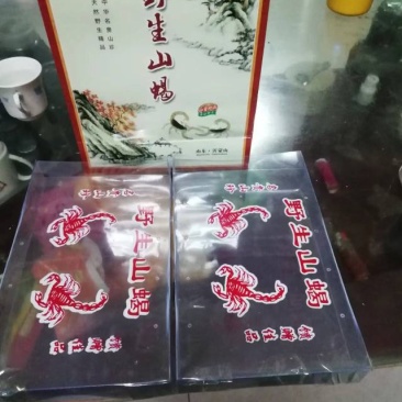 2025年纯野生活蝎子。质量保证。活体冷冻。干蝎子。