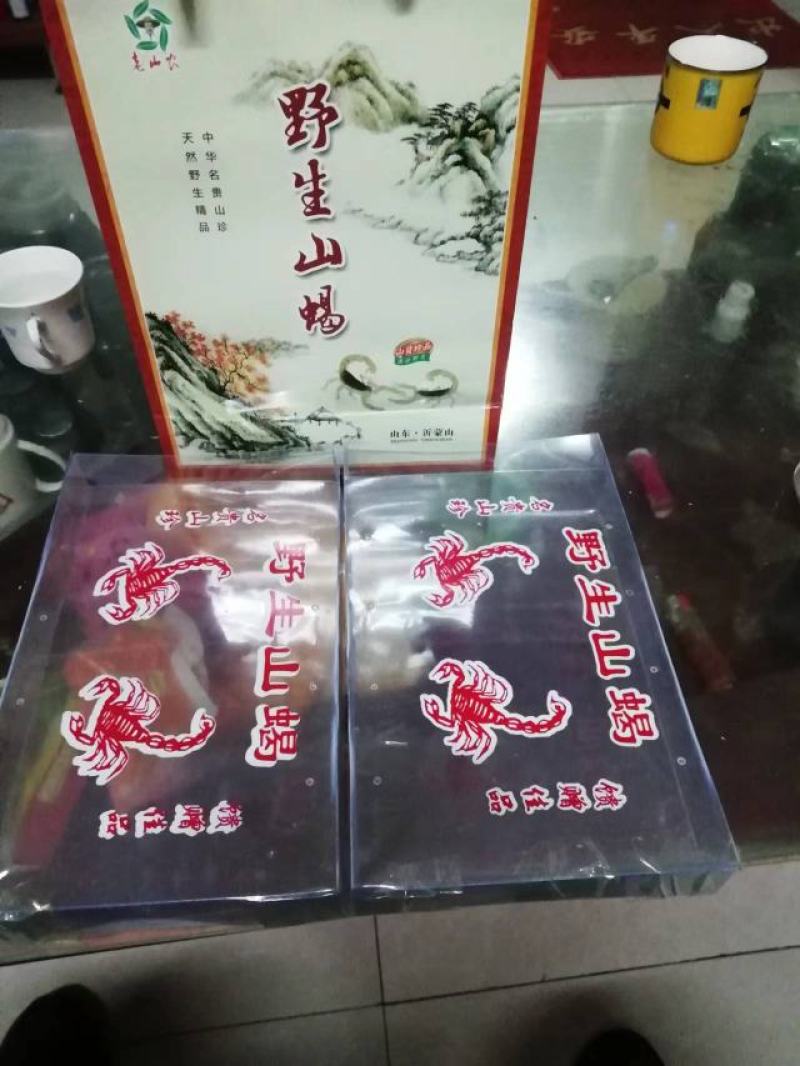 2025年纯野生活蝎子。质量保证。活体冷冻。干蝎子。