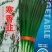 韭菜种子寒香韭F1韭菜品种耐高寒抗病性强高产