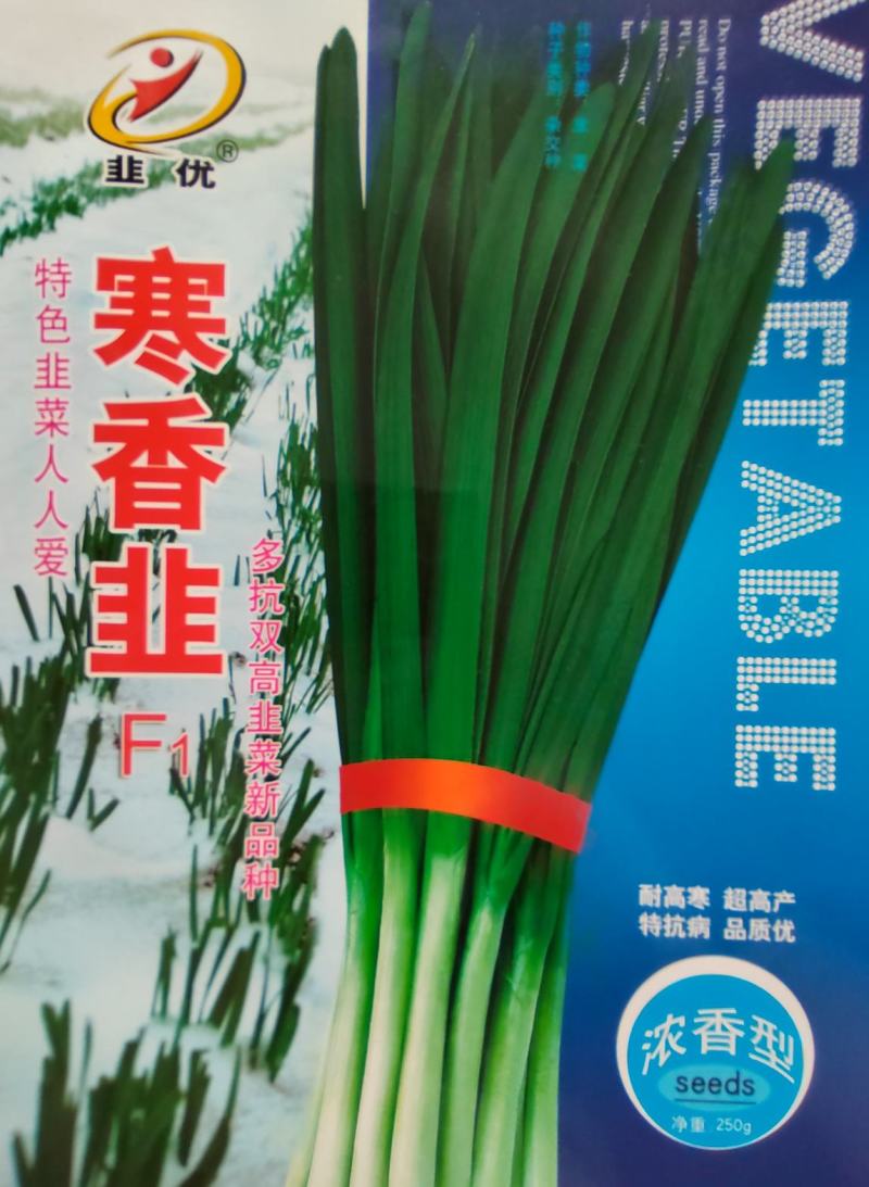 韭菜种子寒香韭F1韭菜品种耐高寒抗病性强高产