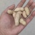 【鲜花生】河南开封鲜花生产地直发对接商超市场