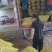 【鲜花生】河南开封鲜花生产地直发对接商超市场