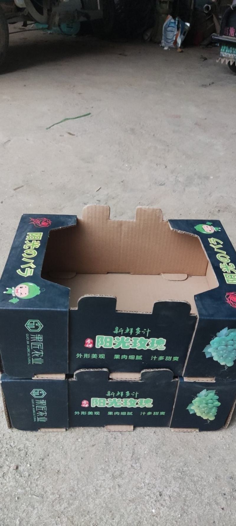 阳光玫瑰葡萄苗，夏黑根嫁接，5BB，贝达根嫁接，50万棵
