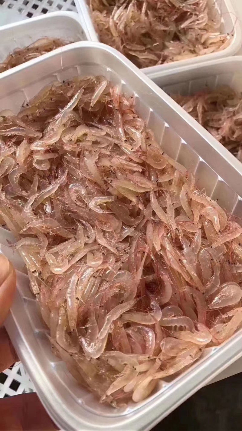 鲜虾皮