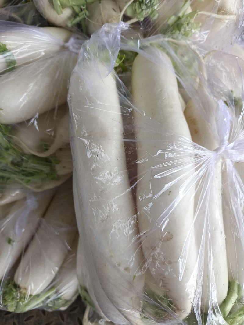 我是河北省邯郸市永年区白萝卜市场，大量有货，需要联系我