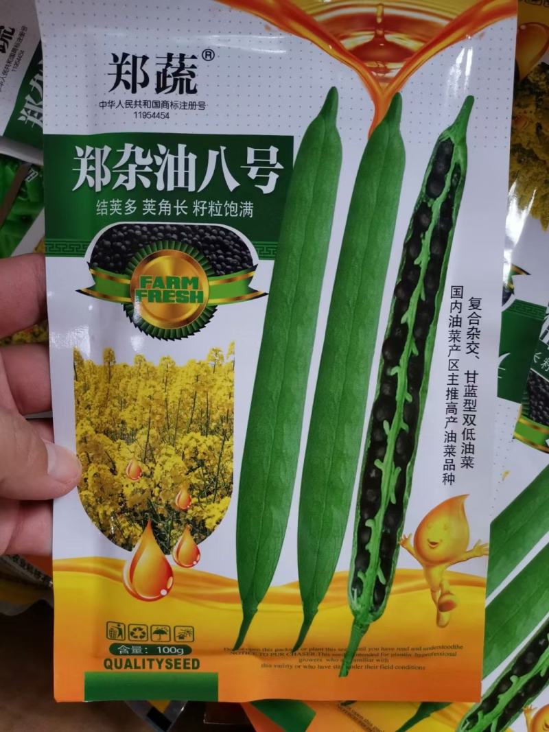 杂交黄籽高产油菜种子产量高抗性好越冬油菜种子