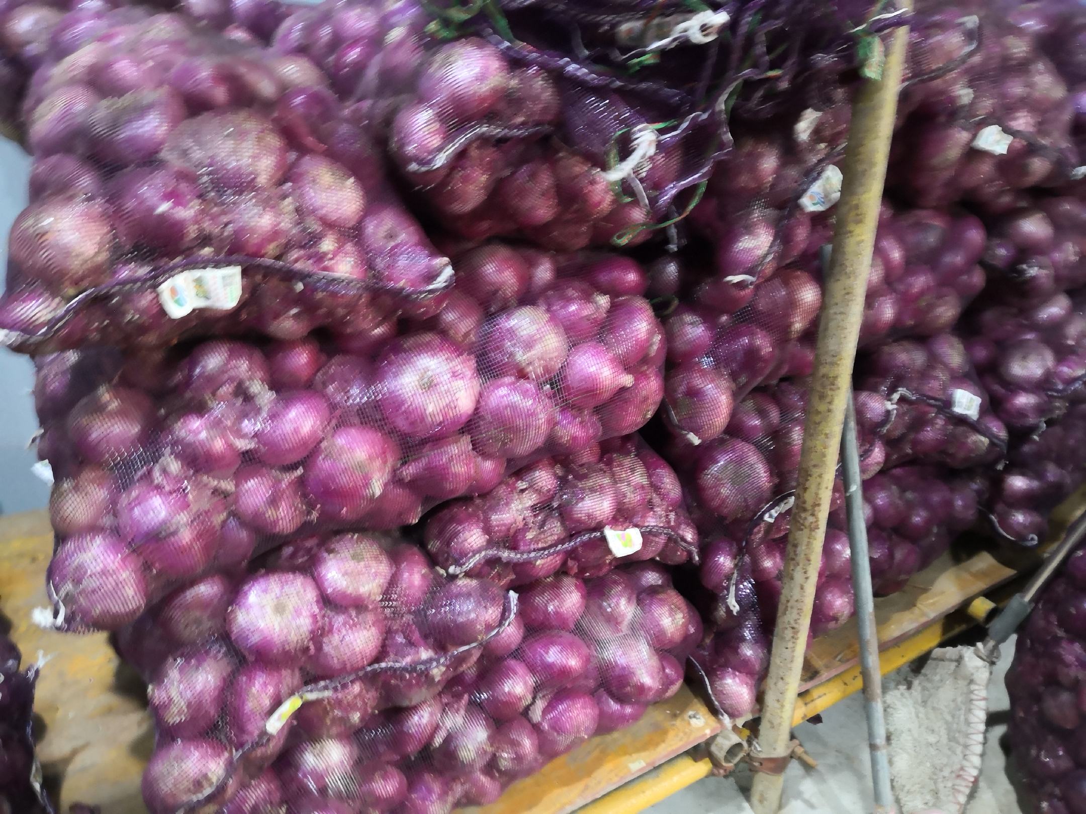 多个玻璃罐中分别装着不同批次的干燥洋葱皮,标签上标注采集日期 干燥的紫皮洋葱皮装在玻璃罐中