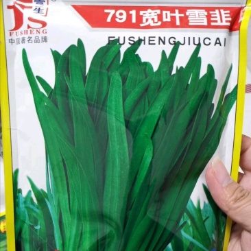 韭菜种子791宽叶雪韭叶色绿厚耐寒抗病品质佳好吃