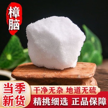 樟脑,一手货源,药用樟脑,药典标准,道地药材。