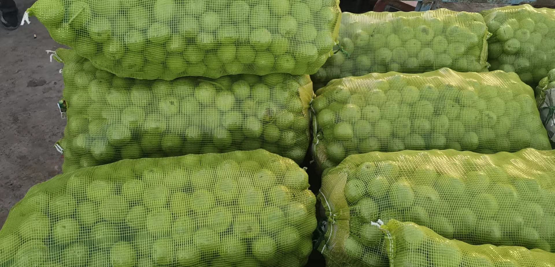 青皮核桃在编织袋中被拖动摩擦去皮