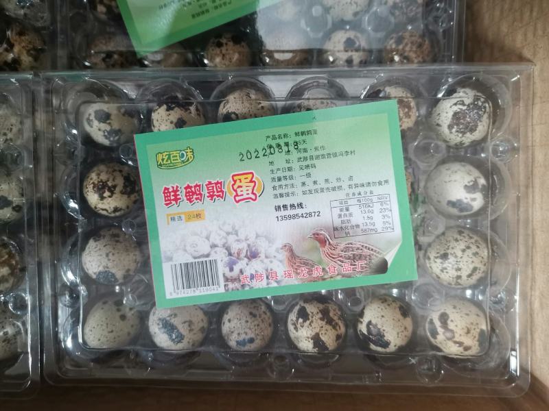 24枚鹌鹑蛋现收现发新鲜鹌鹑蛋农户自己喂养鲜鹌鹑蛋