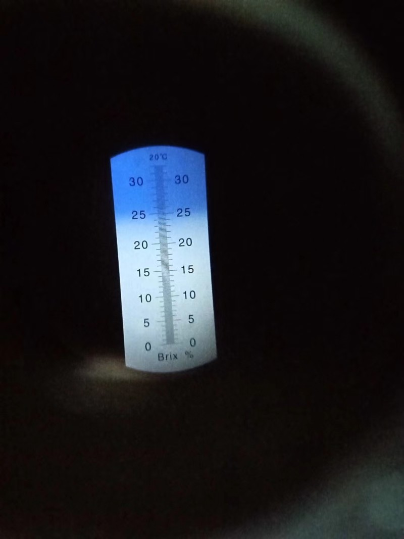 正宗湖南湘西凤凰廖家桥中华熊猫园红心猕猴桃包邮一件代发