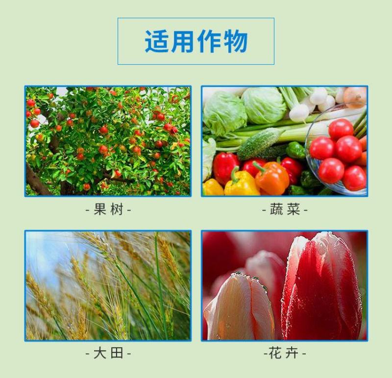 28%虫螨腈噻虫胺杀虫剂韭菜韭蛆灌根比赛尔悬浮剂