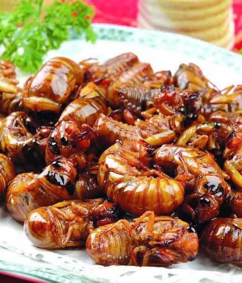 知了金蝉即食下酒油炸金蝉开袋即食香辣金蝉