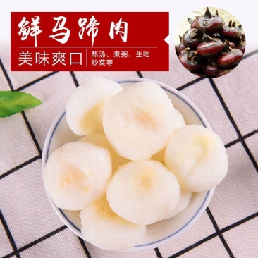 新鲜马蹄，大量上市，产地直供量大优惠，欢迎新老客户前来合