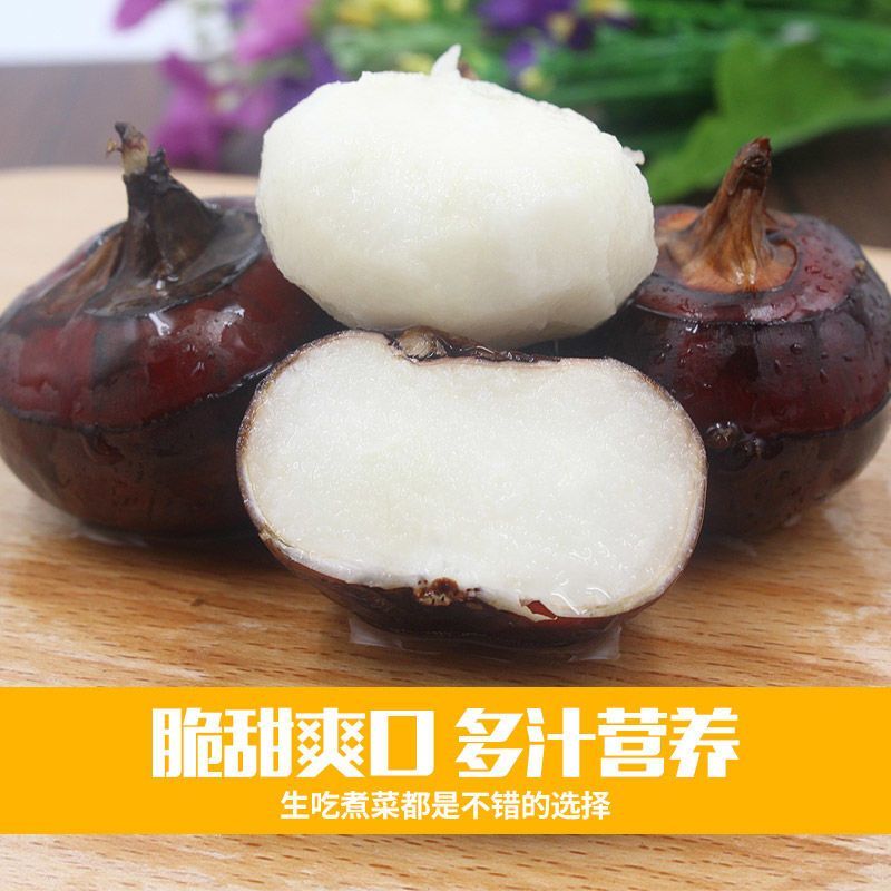 新鲜马蹄，大量上市，产地直供量大优惠，欢迎新老客户前来合
